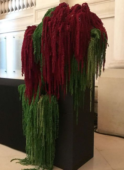 Amaranthus Installation, Gothic Flower Arrangements, Christmas Installation, Hotel Flowers, Lights For Christmas, Christmas Props, Flower Installation, Christmas Interiors, Christmas Deco