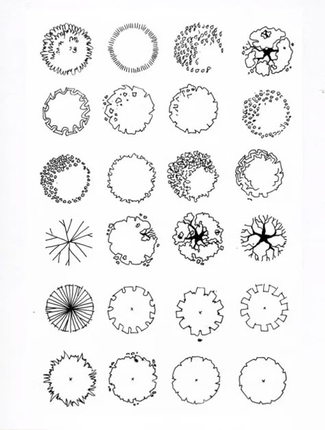 Architectural Trees, Tree Drawings, Landscape Design Drawings, Landscape Gardening, Landscape Architecture Drawing, Tree Plan, Tree Sketches, Landscape Sketch, Architecture Design Drawing