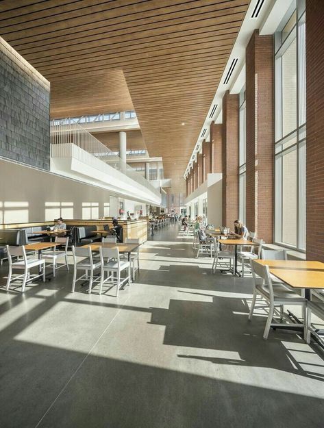 College Dining Hall, University Cafeteria, Campus Aesthetic, Cafeteria Design, Korea University, Campus Design, Korean School, Hall Ideas, Residence Hall