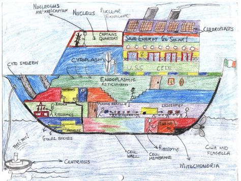 Cell Analogy Project Ideas Poster, Plant Cell Analogy Project Ideas, Plant Cell City Project Ideas, Cell City Project Ideas Drawing, Cell City Project Ideas, Math Projects Highschool, Cell Analogy Project Ideas, Cell Analogy Project, Cell City Project