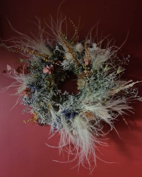 GRACE & THORN on Instagram: “WREATHS ARE NOT JUST FOR CHRISTMAS #graceandthorn” Thorn Wreath, Christmas 2024, Dandelion, Christmas Wreaths, Wreath, Herbs, Holiday Decor, Plants, Flowers