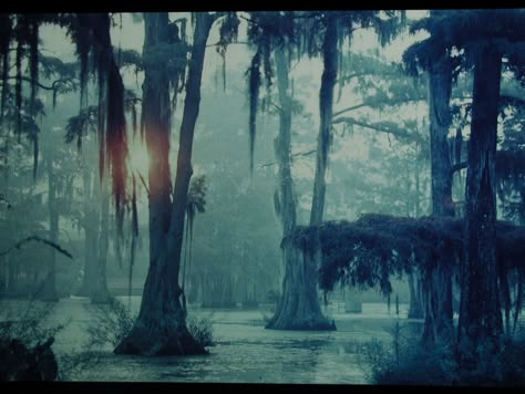 bayou Bayou Classic, Louisiana Swamp, Louisiana Bayou, Louisiana Art, Southern Gothic, Spanish Moss, Classic Image, Mississippi, Louisiana