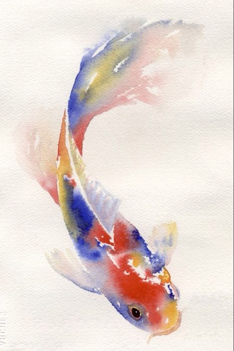 This would be pretty on my wall with the colors Koi Painting, Koi Watercolor, Koi Art, Watercolor Water, Watercolor Fish, Painting Sketch, 수채화 그림, Arte Sketchbook, Fish Painting