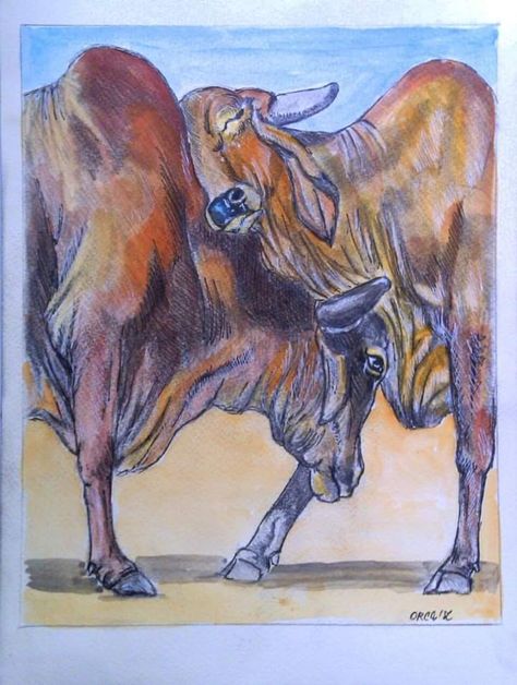 Gir Cow, राधे राधे, Cow Painting, Cow Art, Cebu, Coraline, Drawing Ideas, Farm Animals, Rodeo