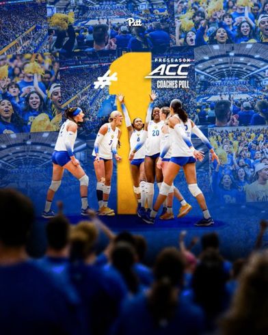 Volleyball Graphics, Festival Banner, Sports Design Inspiration, Sports Marketing, Motion Design Video, Portfolio Inspiration, Sports Graphics, Design Video, Sports Graphic Design