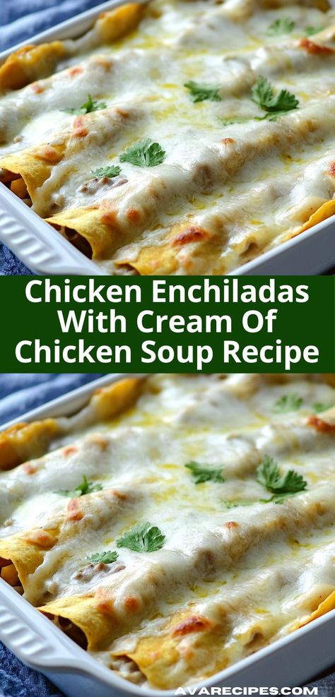 This Chicken Enchiladas with Cream of Chicken Soup recipe offers a creamy, savory filling wrapped in soft tortillas. It's a delightful dish that brings warmth and satisfaction to your table. Flavorful Chicken Breast Recipes, Soup Cheese, Easy Chicken Enchilada Recipe, Soft Tortillas, Chicken Crockpot Recipes Easy, Creamy Chicken Enchiladas, Chicken Enchiladas Easy, Creamy Chicken Soup, Chicken Soup Recipe