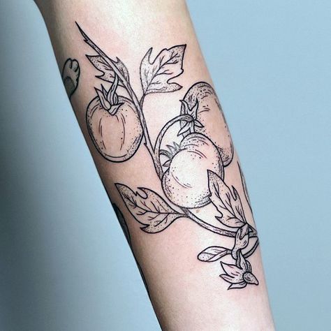 Dietitian Tattoo, Tiny Tomato Tattoo, Tomato Vine Tattoo, Fruit And Vegetable Tattoo, Tomato Tattoo Black, Heirloom Tomato Tattoo, Tomato Plant Tattoo, Tomato Plant Tattoo Black And White, Gardening Tattoo