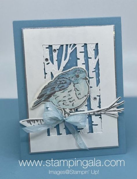 Greeting cards and a gift card holder created with Stampin' Up's Perched in a Tree Bundle and the Mini Pocket Envelope Dies for YouTube Live. #Julie Gilson, #Stampin' Gala, #Water Color, #Christmas Cards, #Christmas Perched In A Tree, Tree Stamp, Beautiful Christmas Cards, Free Cards, Aspen Trees, Stampin Up Christmas, Tree Cards, Up Book, Bird Cards