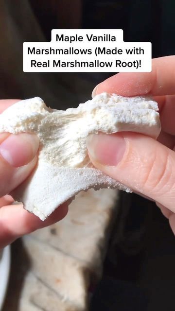 Marshmallow With Marshmallow Root, Agar Agar Marshmallow Recipe, Marshmallow Recipe With Marshmallow Root, Maple Marshmallow Recipe, Marshmallow Root Recipes, Marshmallow Root Marshmallows, Agar Marshmallow Recipe, Herbal Marshmallows, Marshmallow Root Benefits