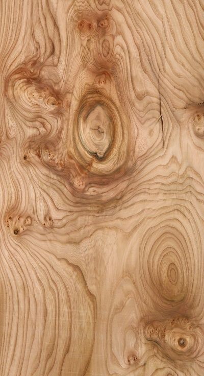 Veneer Texture, Wood Floor Texture, Floor Texture, Texture Inspiration, Wooden Texture, Texture Mapping, Material Textures, 3d Texture, Materials And Textures