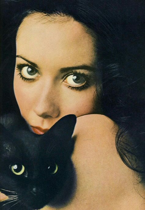 She And Her Cat, 60s Aesthetic, Vintage Witch, Davy Jones, Season Of The Witch, Witch Aesthetic, Witchy Woman, Cat Aesthetic, Color Hair