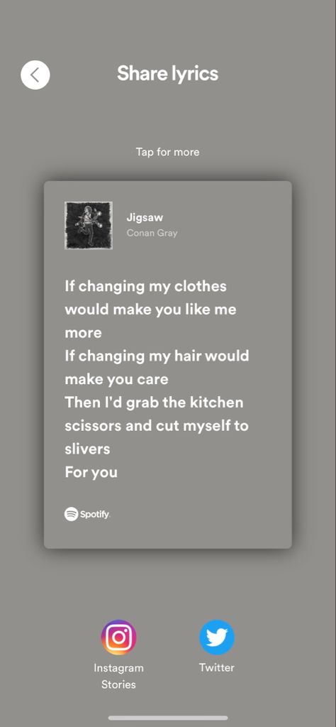 Jigsaw Lyrics, Jigsaw Conan Gray, Conan Gray Lyrics, Spotify Instagram, Kitchen Scissors, Conan Gray, 2024 Vision, Change Me, Vision Board