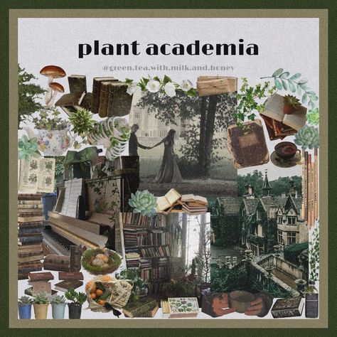 Plant Academia, Anthropology Aesthetic, Nature Academia, Academia Types, Green Tea With Milk, Tea With Milk, Cottagecore Aesthetic Fashion, Green Academia, Niche Aesthetic