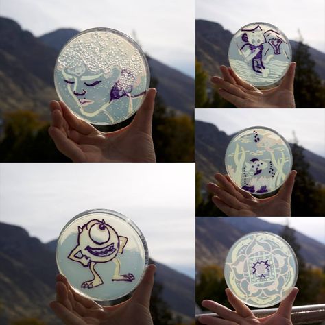 BYU students paint with bacteria to make their art come ALIVE Agar Art, Garden Court, Invisible Ink, Win Cash Prizes, Third Place, Petri Dish, Genetically Modified, Microbiology, Event Photos