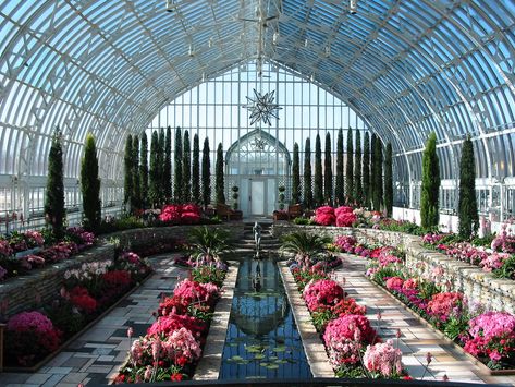 Como Park Zoo & Conservatory | Exclusive Venues - Lancer Hospitality Group Horticulture Education, Sunken Garden, Propagating Plants, Trees And Shrubs, St Paul, Garden Room, Growing Plants, Horticulture, Flowers Photography