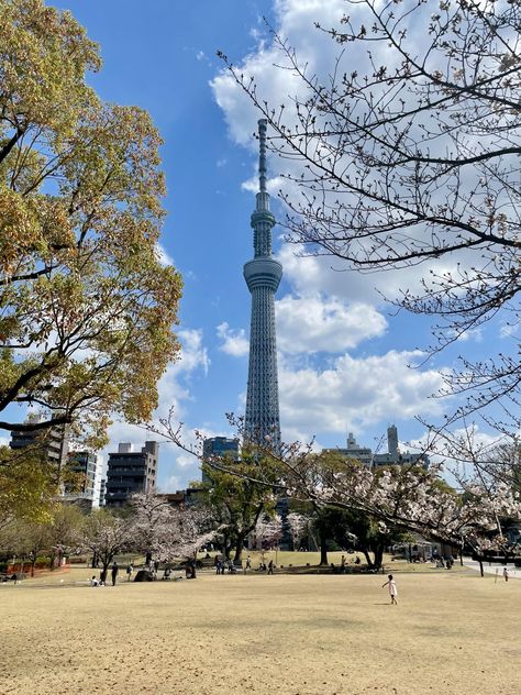 Tokyo Skytree. https://www.alojapan.com/754383/tokyo-skytree-13/ #JapanPhotos Tokyo Skytree, Tokyo, Japan, Quick Saves