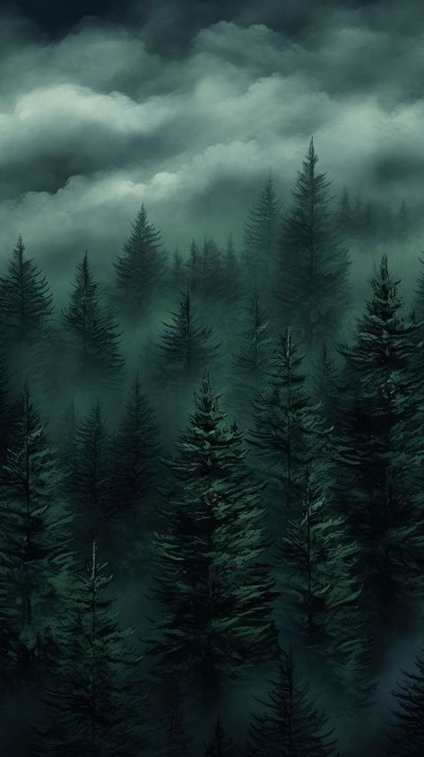 Pine Forest Aesthetic, Iphone Wallpaper Forest, Dakota Core, Forest Iphone Wallpaper, Night Iphone Wallpaper, Forest Pics, Gloomy Forest, Iphone Wallpaper Night, Pear Preserves