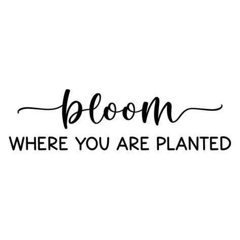 Bloom Where You Are Planted Quote, Flower Growing, Plants Quotes, Bloom Where You Are Planted, Relief Society, Garden Theme, Growing Flowers, Journal Prompts, The Meaning