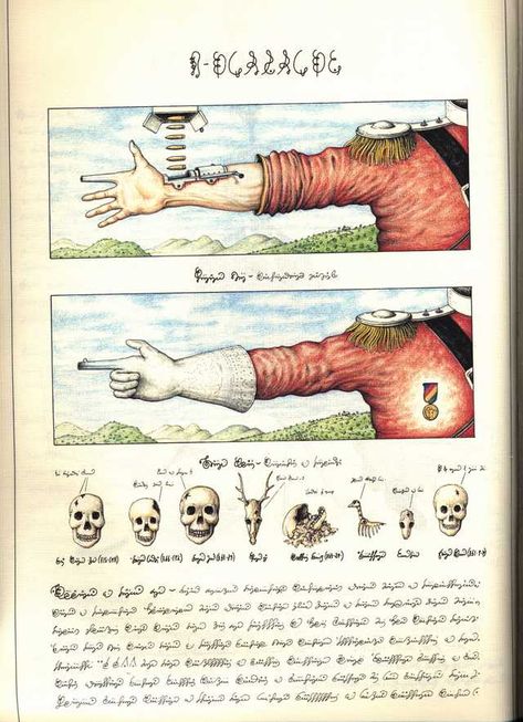 Codex Seraphinianus Illustrations, Unknown Alphabet, Codex Seraphinianus Book, Unknown Language, The Stranger Book, Luigi Serafini, Codex Gigas, Codex Seraphinianus, Voynich Manuscript