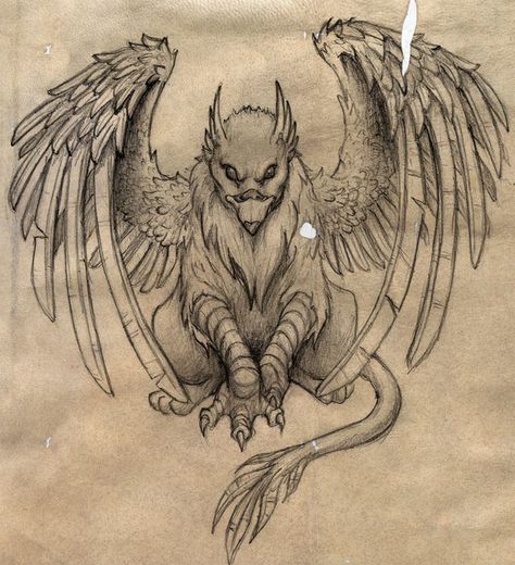 Gryphon Drawing, Griffon Tattoo, Gryphon Tattoo, Griffin Tattoo, Cactus Tattoo, Tattoo Posters, Flower Tattoo Shoulder, Owl Pet, Desenho Tattoo