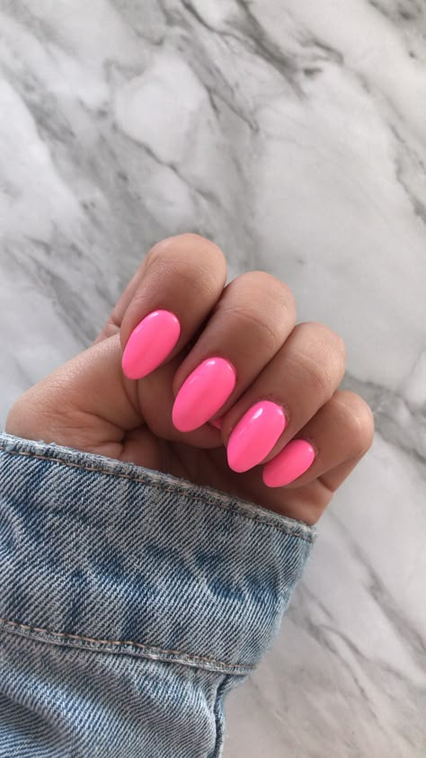 Bubble Gum Nail Color, Bubble Gum Pink Nails Acrylic, Pink Nails Solid, Summer Nails Basic, Basic Nails Ideas, Solid Pink Nails, Basic Nail Designs, Pink Almond Acrylic Nails, Basic Nail Ideas