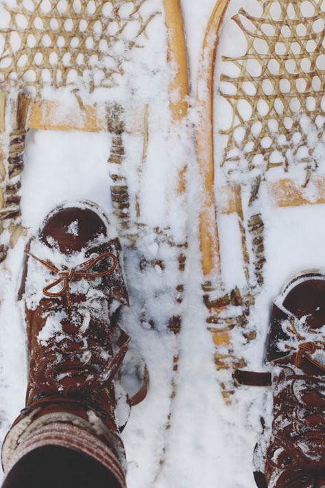 Another day, another dollar; fourteen hours on snowshoes and wish I had pie. • From a Maine Trapper's Diary Surviving In The Wild, Winter Cabin, Winter Wonder, Photo Diary, Winter Fun, Snow Shoes, Winter Activities, Baby Cold, Winter Is Coming