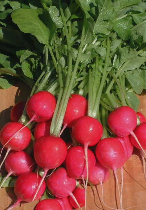 rapanelli Red Radish, Fruits And Vegetables Pictures, Vegetables Photography, Vegetable Pictures, Amazing Food Decoration, Incredible Edibles, Beautiful Fruits, Vegetable Garden Design, Green Vegetables