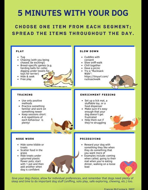 Here are some lovely activities that you can sprinkle throughout your day to help boost your dog's mood, strengthen your bond, and have fun together. You could do these as a substitute for some of the time you spend walking together, or you could weave some of them into your daily walk. Dog Training Activities, Puppy Esthetics, Night Time Puppy Potty Training, Things To Do With My Dog, Dog Products Must Have, Dog Enrichment Ideas, Puppy Potty Training Tips, Dog Remedies, Puppies Tips