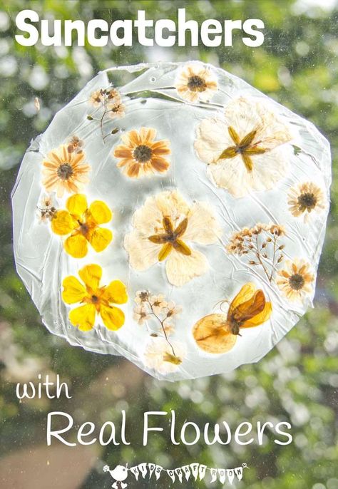 Here's a fun suncatcher flower craft for kids. This unusual method of preserving fresh flowers gives them a gorgeous vintage look that's so pretty on the windows. Preserving Flowers, Kids Craft Room, Suncatcher Craft, Flower Craft, Craft For Kids, Nature Activities, Nature Crafts, Outdoor Art, Craft Activities For Kids