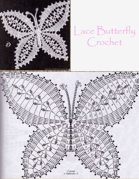 Crochet Butterfly Patterns, Crocheted Butterfly, Crochet Butterflies, Crochet Butterfly Free Pattern, Pola Topi, Butterfly Crochet, Butterfly Patterns, Crochet Butterfly Pattern, Crochet Doily Diagram