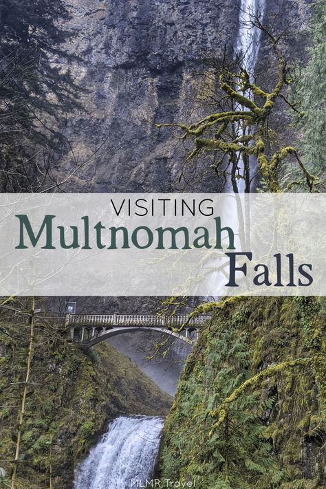 Visiting Multnomah Falls North West Road Trip, Multnomah Falls Lodge, Northern Oregon, Multnomah Falls Oregon, Oregon Landscape, Outdoor Adventure Activities, Oregon Hikes, Ecola State Park, Oregon Vacation