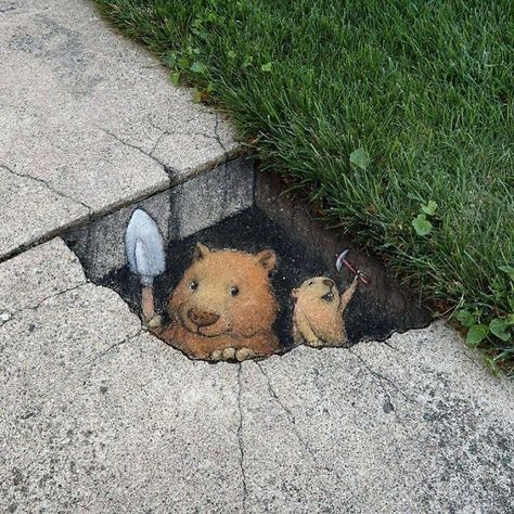 Anamorphic Art, Street Chalk Art, Street Art Illusions, Painted Landscapes, David Zinn, Pavement Art, Toledo Museum Of Art, Ephemeral Art, Pagan Crafts