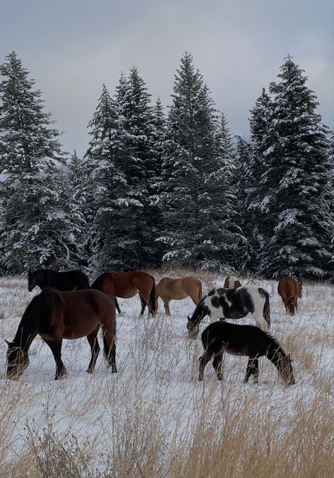 Winter In The Country, Winter Countryside Aesthetic, Winter Cowboy Aesthetic, Country Winter Aesthetic, Winter Country Aesthetic, Western Christmas Aesthetic, Country Christmas Aesthetic, Country Christmas Wallpaper, Winter Widgets