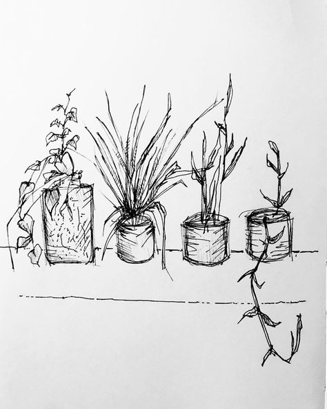 Starter Sketches, House Plant Sketch, Small Pen Sketches, Plant Pen Drawing, Cactus Pen Drawing, Plant Starters, Cat Pen Sketch, Plant Sketch, Houseplant Art