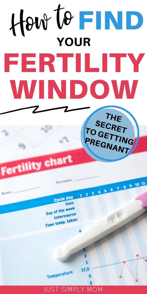 Boost Fertility Trying To Conceive, Best Time To Get Pregnant, Tracking Ovulation, Fertility Window, Conception Tips, Fertility Day, Fertility Chart, Fertile Window, Ovulation Tracking