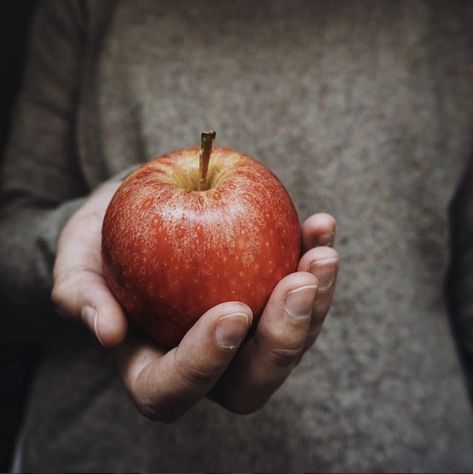 Red Apple Aesthetic, Hand Holding Apple, Apple In Hand, Apple Images, Martha Jones, Fairytale Aesthetic, Seasonal Living, Hand Photography, Fruit Photography