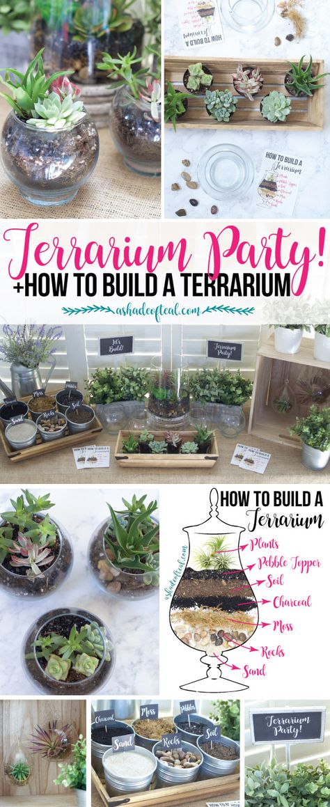 Layers Of A Terrarium, Air Plant Terrarium Diy How To Make, Succulent Making Party, Dollar Store Terrarium Diy, Succulents Garden Indoor Terrarium Ideas, Plant Night Party, Closed Terrarium Animals, Diy Terrarium Party, Build A Terrarium Diy