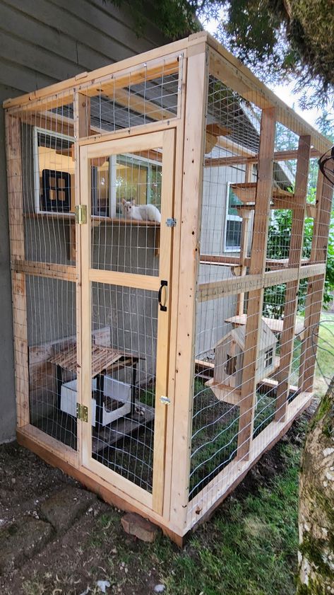 Diy Cat Cage Outdoor, Easy Diy Catios, Catio Plans How To Build, Diy Catios For Cats Window, Cat Enclosure Ideas, Cat Set Up, Catios Ideas For Cats, Catio Patio, Iguana Enclosure