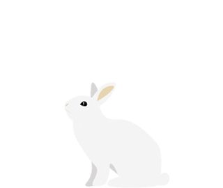 Rabbit Animated, Rabbit Animation, Gifs Png, Jumping Gif, Rabbit Jumping, Rabbit Gif, Butterfly Gif, Sky Gif, Rabbit Clipart