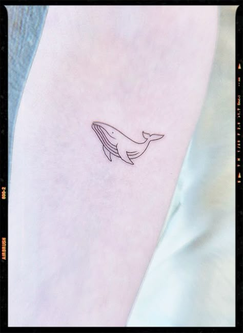 Small Humpback Whale Tattoo, Whale Outline Tattoo, Tiny Whale Tattoo, Whale Tattoo Minimalist, Simple Whale Tattoo, Small Whale Tattoo, Whale Tattoo, App Filter, Minimal Tattoo Design