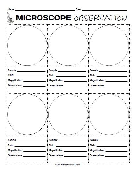 Free Printable Microscope Observation Worksheet. Free Printable Microscope Observation Worksheet, a great activity for students to draw what they observe under the microscope and also write specimen description and detailed observations. Print the Microscope Observation Worksheet free with home or school printer and share with students at the school lab, tutoring, homeshool lab or science classroom. Kids can draw 6 Microscope Observation Worksheet, Microscope Worksheet Free Printable, Science Experiment Worksheet, Microscope Worksheet, Microscope Activity, Microscope Lab, Chromosome Structure, Free Science Worksheets, Microscope Kids