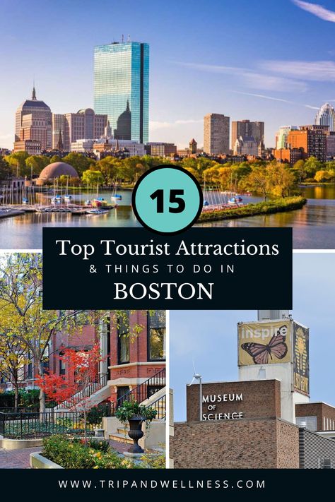 Discover the captivating history of Boston in our latest blog post. Dive into the city's past and uncover its intriguing stories. Boston Attractions, Boston History, Things To Do In Boston, To Do In Boston, Boston Things To Do, Iconic Landmarks, Usa Travel, In Boston, Historical Sites