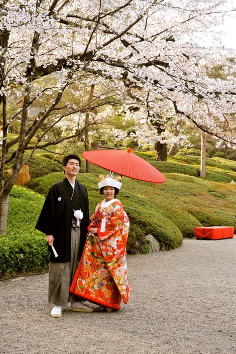 I just LOVE these beautiful Japanese couples at wedding ceremonies! Japanese Wedding Ceremony, Japanese Couple, Japanese Wedding, Bespoke Wedding Dress, Traditional Garden, Wedding Ceremonies, Bespoke Wedding, Beautiful Weddings, Dress Making