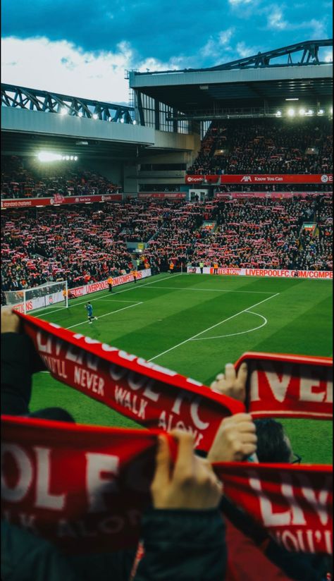 Liverpool Coldest Photos, Best Liverpool Wallpapers, Anfield Wallpapers Iphone, Anfield Aesthetic, Lfc Aesthetic, Liverpool Aesthetic Football, Anfield Stadium, Anfield Stadium Wallpaper, Liverpool Fc Aesthetic