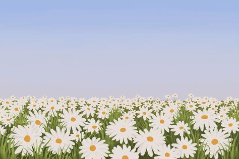 Flower Field Background, Daisy Flower Field, Field Illustration, Destop Wallpaper, Field Background, Background Minimal, Daisy Wallpaper, Daisy Field, Psd Background