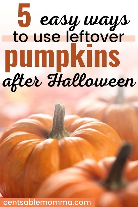 Rather than let pumpkins used for fall decorating or Halloween carving go to waste, check out these 5 uses for leftover pumpkins for some ideas of how to use your pumpkins after the holiday is over - from pumpkin puree for fall recipes to a flowerpot for your mums. Creative Pumpkin Carving Ideas, Repurpose Leftovers, Halloween Carving, Thanksgiving Dinner Decor, Pumpkin Guts, Pumpkin Puree Recipes, Fall Recipes Pumpkin, Pumpkin Uses, Leftover Pumpkin