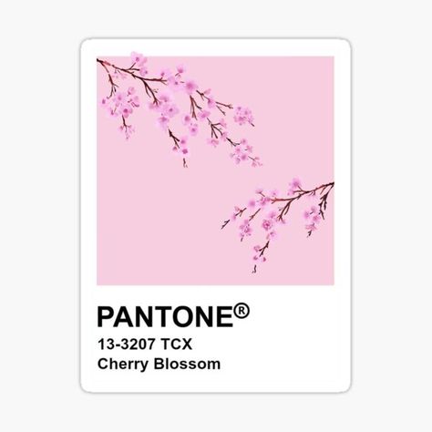 Pantone Cherry Blossom, Pantone Drawing Aesthetic, Pantone Art Aesthetic, Pantone Stickers Aesthetic, Painting On Pantone Cards, Calender Paintings, Pantone Stickers Printable, Pantone Art Painting, Pantone Challenge Ideas