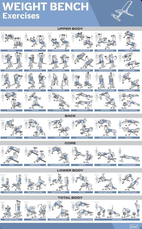 Weight Bench Exercises, Weight Bench Workout, Bench Exercises, Workout Gym Routine, Workout Program Gym, Bench Workout, Dumbell Workout, Full Body Workout Routine, Barbell Workout