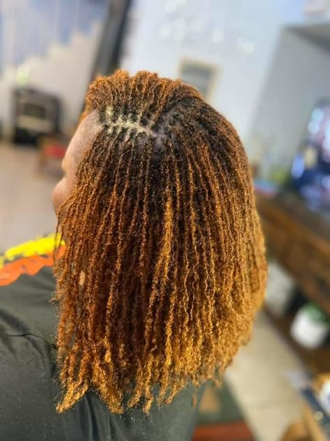 Color Microlocs, Microloc Inspiration, Unique Wig, Interlocking Locs, Small Locks, Dreads Styles For Women, High Porosity Hair, Micro Locs, Short Box Braids Hairstyles