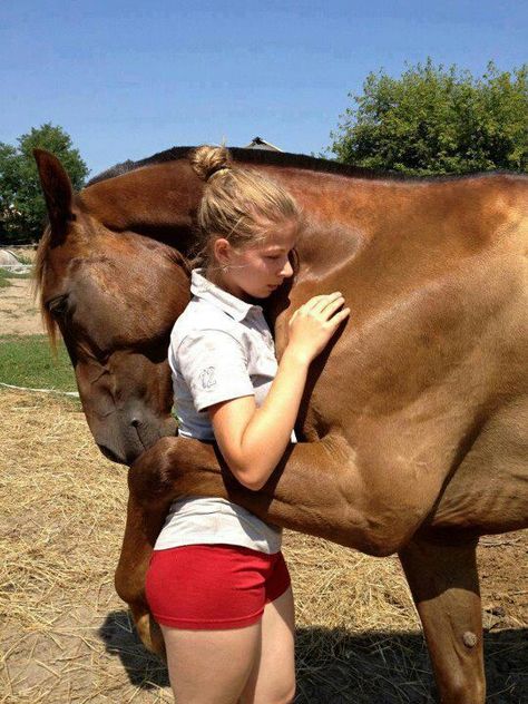 Animal Hugs, Pretty Horses, Horse Love, 귀여운 동물, Beautiful Horses, Four Legged, Animals Friends, Beautiful Creatures, Animal Kingdom